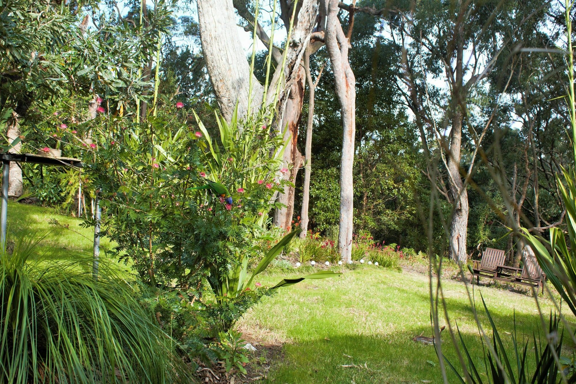 Nelson Bay Bed & Breakfast Exterior photo